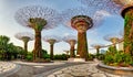 Singapore Supertrees in garden by the bay at Bay South Singapore Royalty Free Stock Photo