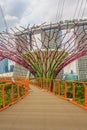 Singapore Supertrees