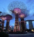 Singapore Supertrees