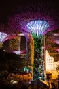 SINGAPORE: Supertrees illuminated for light show in gardens by the bay