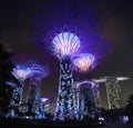 Singapore Supertrees