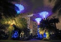 Singapore Supertrees