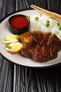 Singapore Teochew Braised Duck Lor Ark served with rice, eggs and tofu close-up in a plate. Vertical Royalty Free Stock Photo
