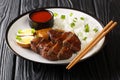 Singapore Teochew Duck with rice, eggs and tofu close-up in a plate. horizontal