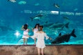 Singapore underwarer Sea Aquarium Sentosa, Singapore, April 14, Royalty Free Stock Photo
