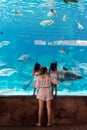 Singapore underwarer Sea Aquarium Sentosa, Singapore, April 14, Royalty Free Stock Photo