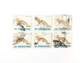 $5 Singapore used postage stamp Cuttlefish