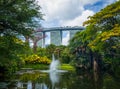 Singapore-Water Lily Pond 2