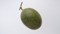 Singe hami melon (hamigua melon) isolated on white background