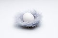 Singe white egg in a easter nest filled up with light violett down feathers on a white uniform background, easter decoration or a