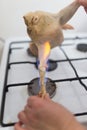 Singeing chicken on fire