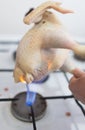 Singeing chicken on fire Royalty Free Stock Photo