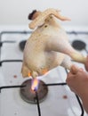 Singeing chicken on fire Royalty Free Stock Photo