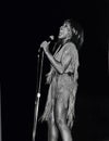 Tina Turner Royalty Free Stock Photo