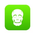 Singer mask icon digital green