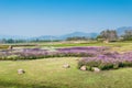 Singha Park Boon Rawd Farm, Chiang Rai, Thailand