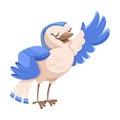 Singing Bird with Beak Enjoy Spring Vector Illustration Royalty Free Stock Photo