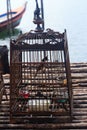 Singing bird in a cage Royalty Free Stock Photo