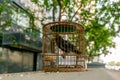 A singing bird in a cage in traditional Beijing Hutong street i Royalty Free Stock Photo