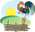Singing Rooster and morning Sun. Royalty Free Stock Photo