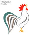Singing rooster Royalty Free Stock Photo