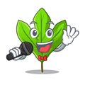 Singing sassafras leaf in the mascot pots