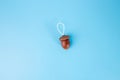 a single acorn with a white string loop attached to its cap, set against a light blue background. could be used as a