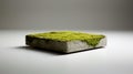 a single aerated concrete plate with moss, Generative AI