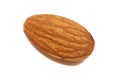 Single Almond Seed Close up Extreme Macro Shot