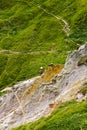 Single alone man hiking in Dorset cliffs