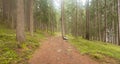 A single alpine path splits in two different directions. It's an autumnal cloudy day.