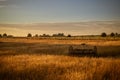 Antique hay rake in a farmers field at sunset. Royalty Free Stock Photo