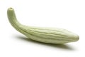 Single Armenian cucumber isolated on white Royalty Free Stock Photo