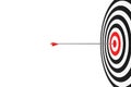 Single arrow hitting center of goal target over white background, success, goal achievement or performance concept