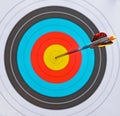 arrow shot in the center focus on arrow