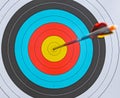 arrow shot in the center focus on target