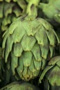 Single artichoke Royalty Free Stock Photo