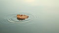 Single autumn leaf afloat on calm water creating a minimalist natural scene.