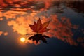 Solitary autumn leaf with a stunning sunset background