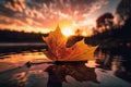 Solitary autumn leaf with a stunning sunset background