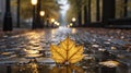 Single autumn leaf on blurred park background.