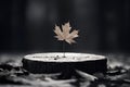 Single autumn leaf on a saw cut of a tree among fallen leaves on ground in autumn covered in raindrop, dark blurred background. Royalty Free Stock Photo