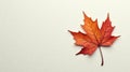 Single autumn leaf on textured paper background a simple, elegant image for fall designs. Generative AI Royalty Free Stock Photo
