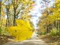 A single autumn yellow map leaf falling along a fall colored country roademple Royalty Free Stock Photo