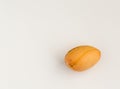 Single avocado seed on a white background