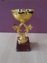 Golden award cup Trophy Royalty Free Stock Photo