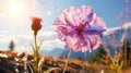 A single Balloon Flower very closeup view