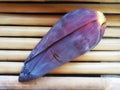 Single Banana Flower or Blossom on Bamboo Surface