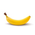 Single banana isolated
