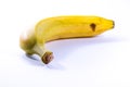 Single Banana Yellow Ripe Fresh Fruit Isolated White Background Royalty Free Stock Photo